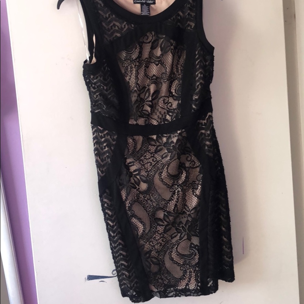 Black lace with nude lining.